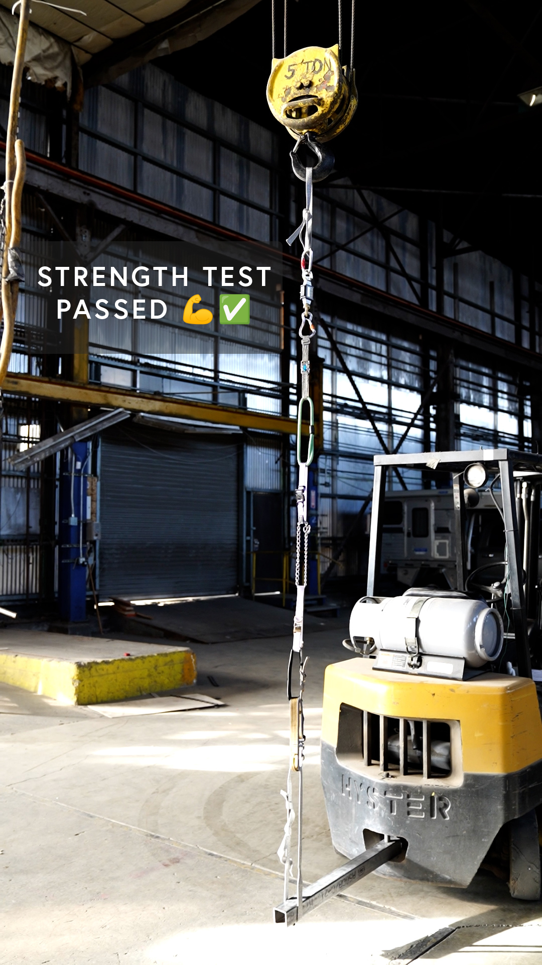 Strength testing a chain of different dog collars, breaking them one-by-one until only one was left